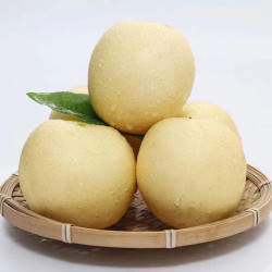 河北皇冠梨单果200g+ 净重4.5斤