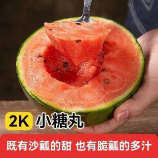山东2K小糖丸 小糖丸1.5-2斤净重1.3斤+