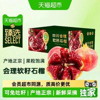 88VIP:农鲜淘 猫超臻选四川会理软籽石榴新鲜应季饱满多汁鲜石榴