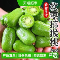 88VIP：孙悟空 正宗陕西软枣猕猴桃迷你奇异果奇异莓新鲜水果