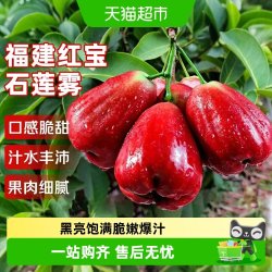 寻天果蔬 福建莲雾红宝石爆甜应当季现摘黑刚金新鲜特大果大叶莲雾