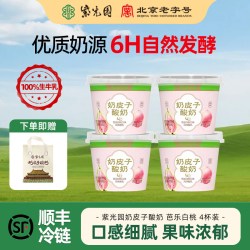 紫光园 北京奶皮子酸奶芭乐白桃风味乳酸奶120g清真小吃新品