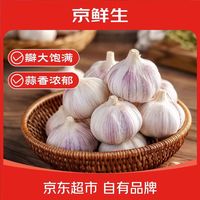 京鲜生 2026年新鲜干蒜金乡大蒜紫皮蒜头 净重4.5斤包邮源头直发