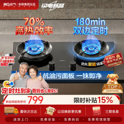 名气 液化气燃气灶70%高热效4.8KW猛火家用煤气灶具煤气灶双灶台A6251B