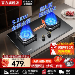 华蒂创亿丨燃气灶双灶家用嵌入式天然气燃气灶猛火灶液化气灶5.2kw燃气炉台钳两用台式双灶具煤气炉定时