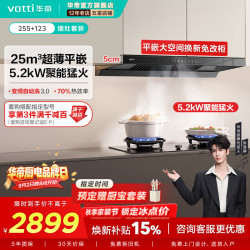 华帝 i11255烟灶套装 小飞碟超薄平嵌欧式变频25风量大吸效套装】255+123燃气灶 天然气