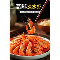 喜福鸿运 高邮淡水熟虾 液氮锁鲜 500g