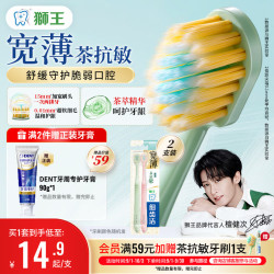 狮王 细齿洁系列 宽薄茶抗敏软毛牙刷 2支