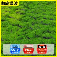 临雅 仿真苔藓草皮 微景观造景摆件
