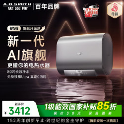 A.O.SMITH 免换镁棒 电热水器  3000W 60L