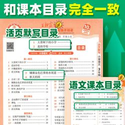 2026秋版王朝霞活页默写一二三四五六年级 天天练