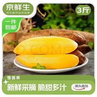 京鲜生 云南天山雪莲果 净重3斤 单果130g+  中秋水果源头直发包邮