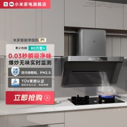 米家 P1系列 CXW-165-MJ04CY 侧吸式吸油烟机