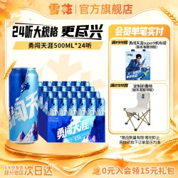 雪花 BEER 雪花 SNOWBEER BEER BEER 勇闯天涯 啤酒 500ml*24听