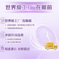雀巢 超启能恩2段适度水解较大婴幼儿奶粉850g*6儿童