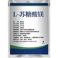 GE 苏糖酸镁 400g(200g*2袋) 矿物质补充剂