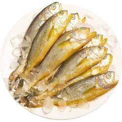 新鲜黄鱼1斤