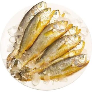 新鲜小黄鱼1斤