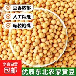东北黄豆农家自种黑龙江新大豆生大豆滋补气血泡酒组合料滋补佳品 黄豆 100g*1袋