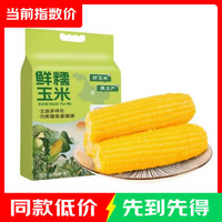 邹有才 东北黄甜糯玉米 礼盒装 220g×8支