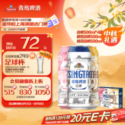 青岛啤酒 年货节 啤酒礼盒  礼盒装罐啤 500*10 500ml