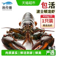 88VIP：渔传播 鲜活现货波士顿大龙虾450g-500g*1只