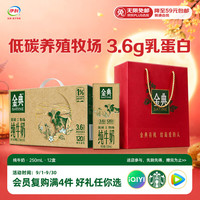 伊利 SATINE 金典 3.6g乳蛋白 纯牛奶 250ml*12盒