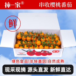 京鲜生 柿一家 黄宝石串收樱桃番茄礼盒1kg