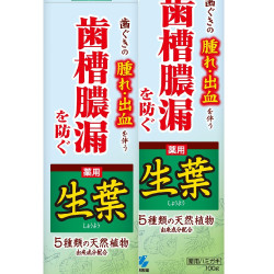 生葉 药*牙膏 预防牙槽脓漏 日中草*味 100g×2支（附眼镜清洁剂）【准药*】