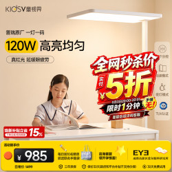 童视界 普瑞红光护眼大路灯 全光谱 120W 落地台灯