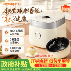 九阳 0氟系列珐琅瓷釜 电饭煲  3L