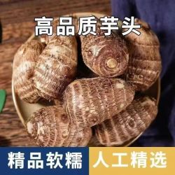 田园东方 山东牛奶小奶芋软糯好膳食 （3斤装） 普箱+网兜