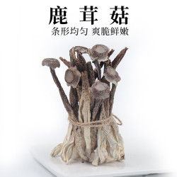 什友荟 鹿茸菇250g