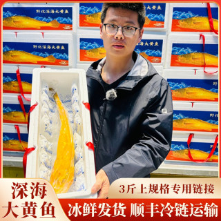 东官洋3斤上/条规格3条装东海深海大黄鱼