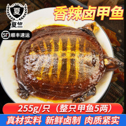夏竺5两现卤麻辣甲鱼开袋加热即熟食香辣卤味甲鱼顺丰散养2袋