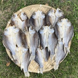 开背鲫鱼咸鱼干腌制淡水河鱼干农家自晒不苦干货安徽特产
