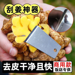 生姜去皮神器刨姜器剥蒜刮姜皮卫生干净刨刮土豆芋头通用