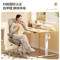 乐歌 电动升降桌电脑桌站立办公家用书桌 E2S/1m灰胡桃木色