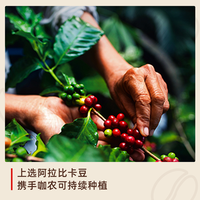 illy意利 中度烘焙阿拉比卡咖啡粉 250g*3罐