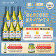今日必买：OYSTER BAY 新西兰马尔堡 长相思 白葡萄酒 750ml*6瓶 整箱