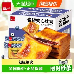 泓一 蓝莓岩烧乳酪夹心面包整箱  400g