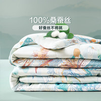 富安娜 可水洗100%蚕丝抑菌蚕丝空调被-悠兰 230*229cm