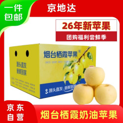 京地达 鲜果正传山东烟台栖霞奶油富士苹果 80级5斤 烟台苹果时令水果源头直发 红富士9斤普通装（家用质量）