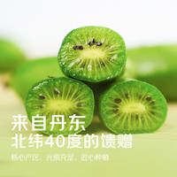 京觅 丹东软枣猕猴桃   源头直发