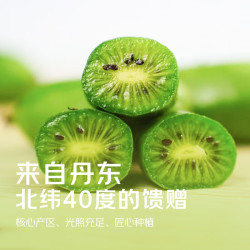 京觅 丹东软枣猕猴桃   源头直发