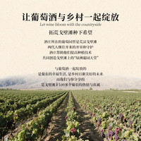 类人首 橡木桶干红葡萄酒 13.5%vol 750ml*3瓶