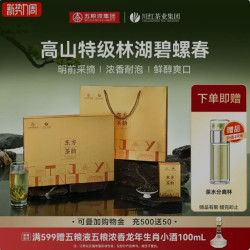 林湖 特级碧螺春东方茶韵礼盒早春新茶绿茶叶120g中秋送礼