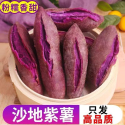 现挖农家甜心紫薯蜜薯 中果