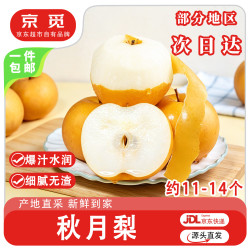 京觅 山东烟台莱阳头茬秋月梨 净重8斤大果 单果300g+ 源头直发包邮