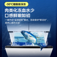 华凌 [自营]美的出品华凌冰箱十字对开门家用冰箱 HR-547WUSPZ 仲夏夜